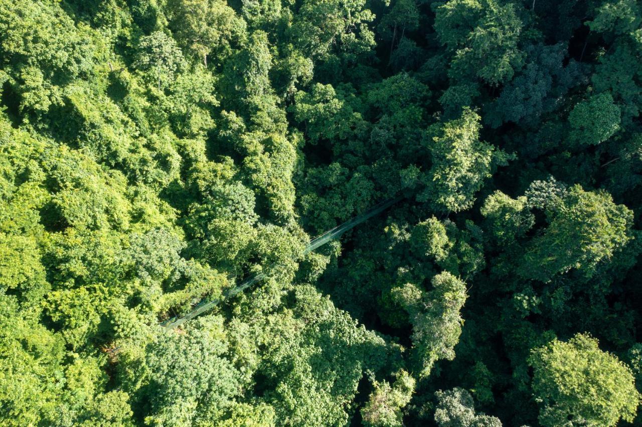 Villa Lapas Jungle Village Тарколес Екстер'єр фото