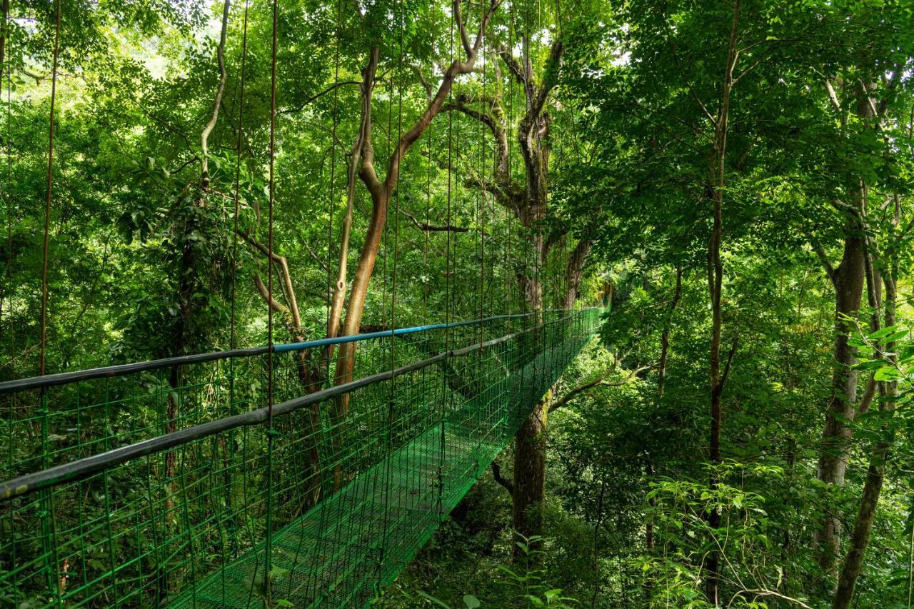 Villa Lapas Jungle Village Тарколес Екстер'єр фото